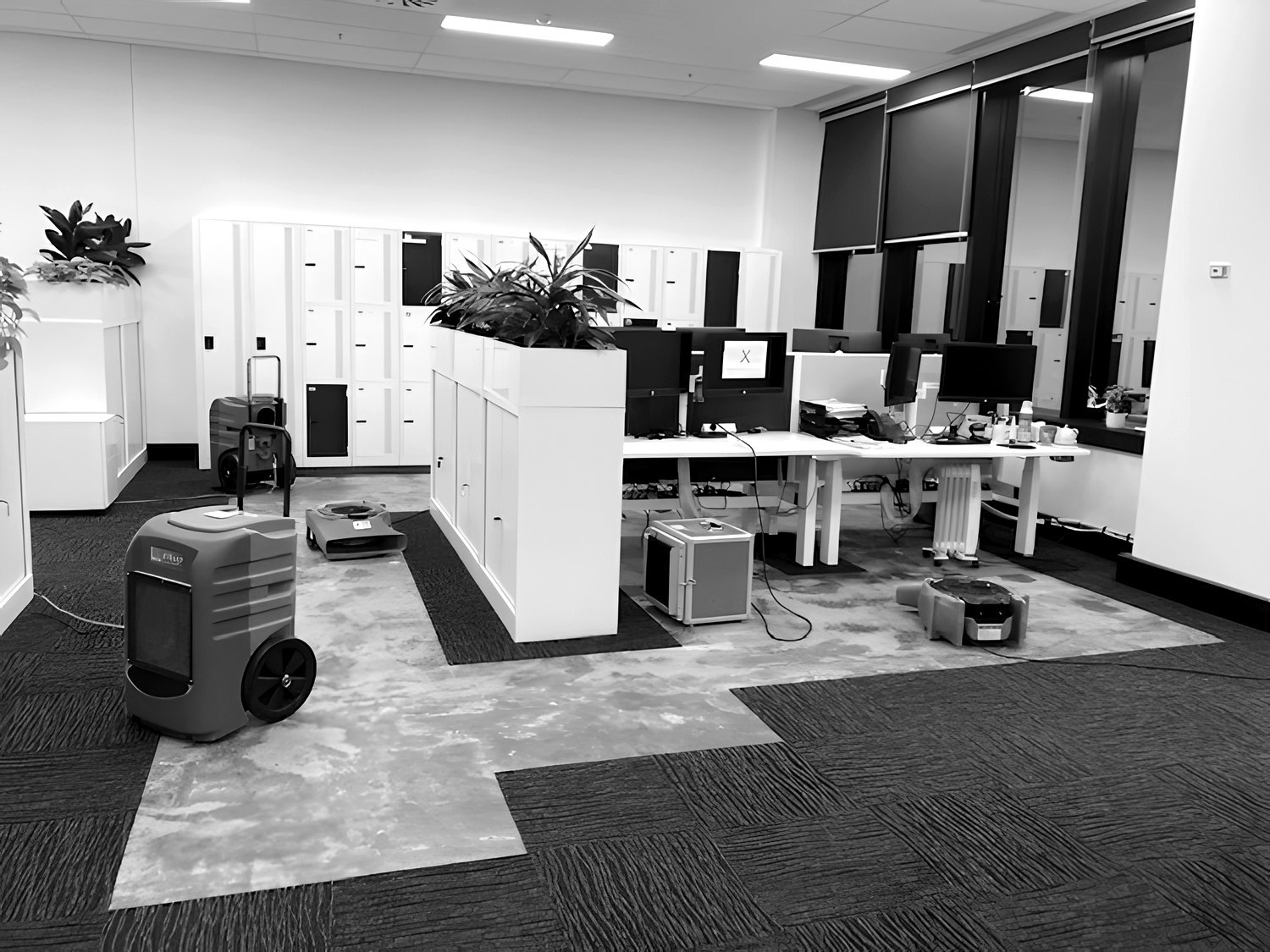 Structural Drying — professional remediation in progress