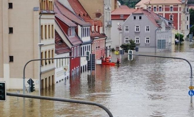 Why Is Immediate Flood Cleanup Important?